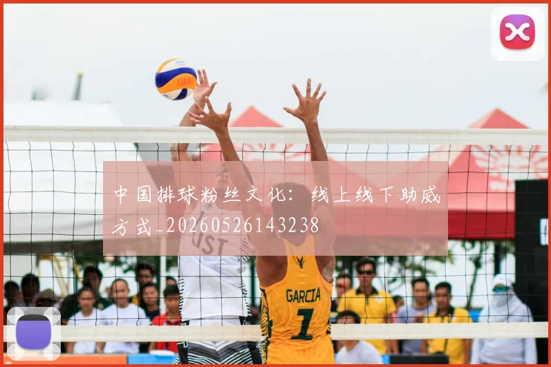 中国排球粉丝文化：线上线下助威方式_20260526143238